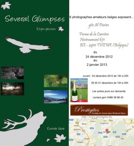 Expo de photos "nature"